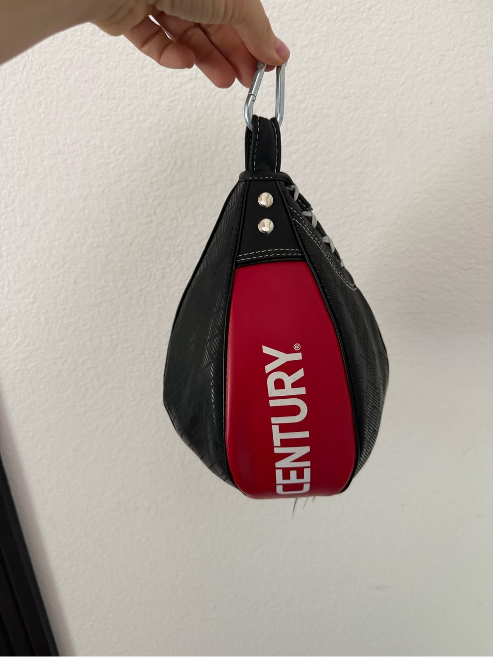 Century Speed bag